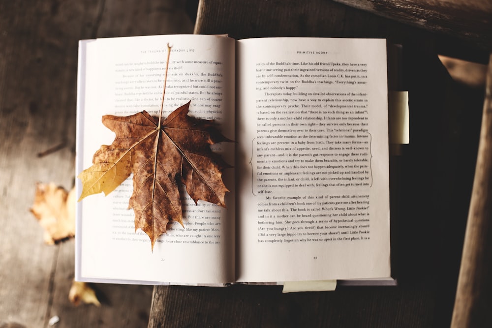 كتاب مفتوح على طاولة خشبية