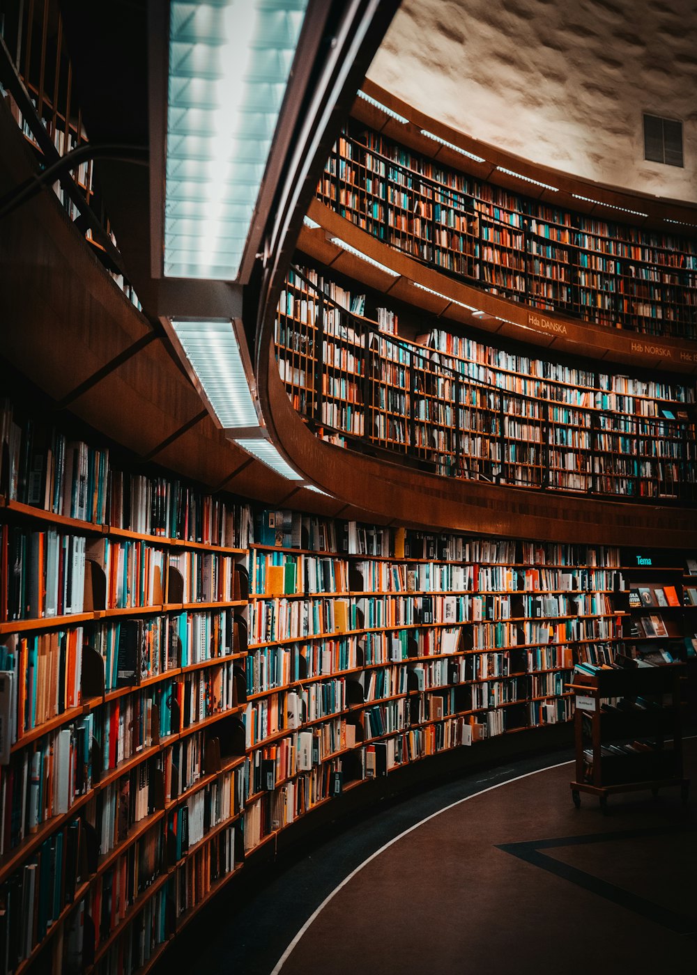 رفوف كتب منحنية في مكتبة كبيرة